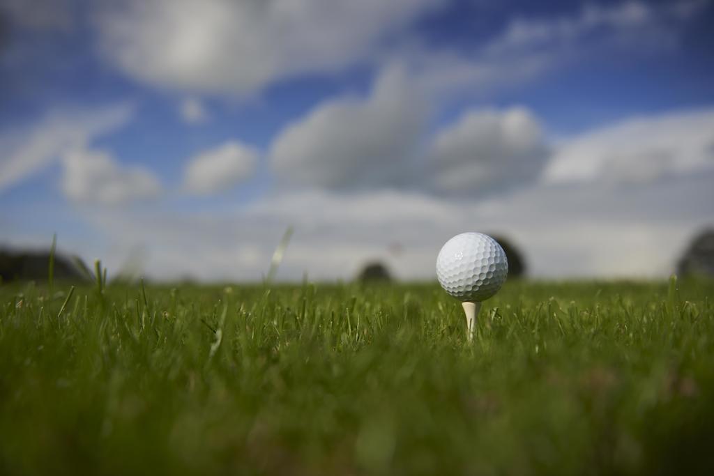 Chateau Du Bois-Guy Golf Parigné Eksteriør bilde