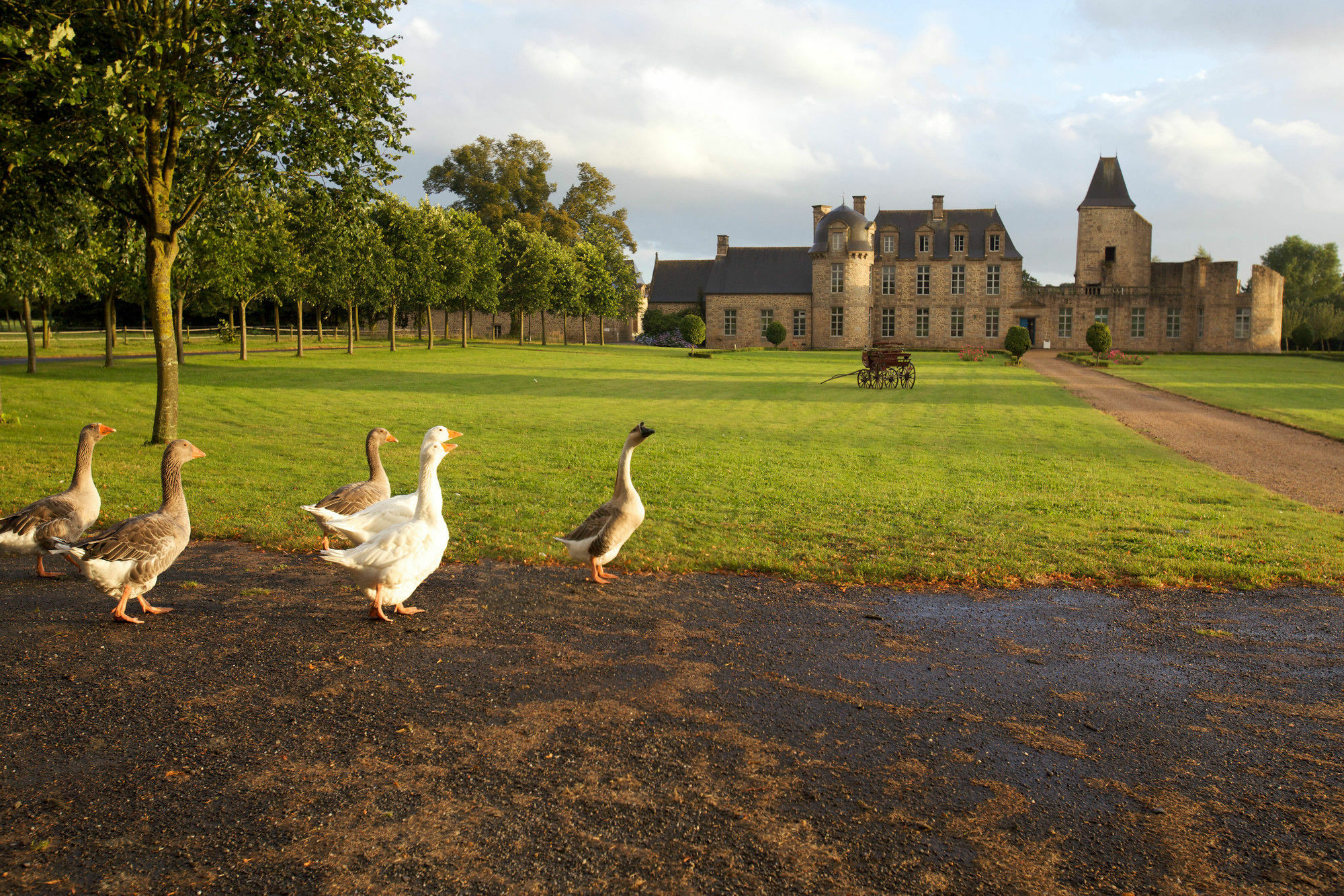 Chateau Du Bois-Guy Golf Parigné Eksteriør bilde